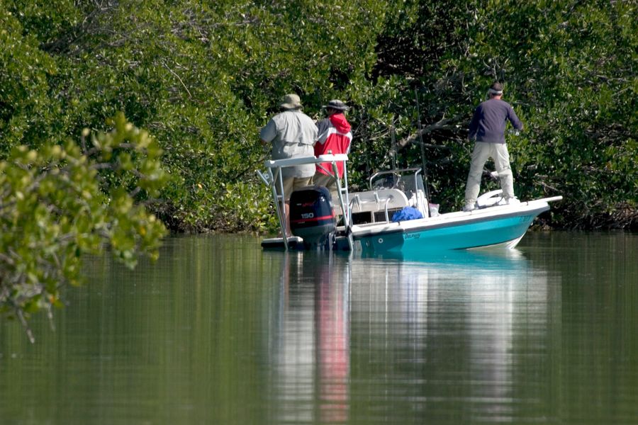 A shallow-draft skiff worked in close to the mangroves, three anglers aboard.